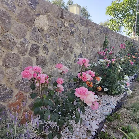Βίλα Korfu Alegria A Casa Ρόδα